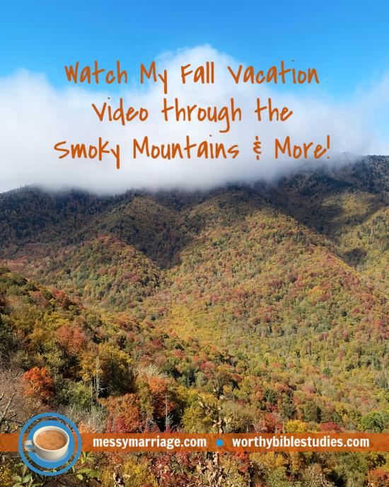 Want to See My Recent Travels and Some Vintage MM&nbsp;Videos?