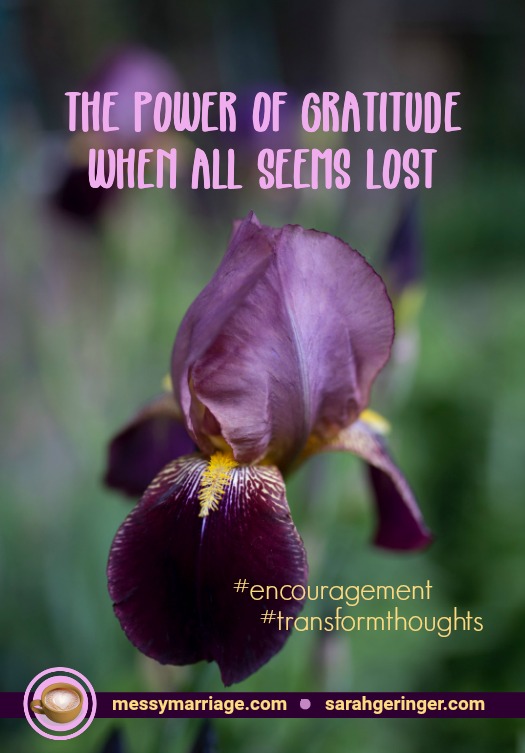 Gratitude in Thoughts - Find how to focus on what you are grateful for when trials and discouragement threatens your view. Click to read more! #marriage #troubles #thoughts #Scripture #anxiety #encouragement #inspiration