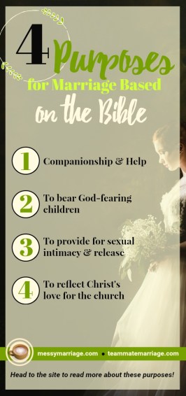 Purposes in Bible #marriage #Bible #marriagepurposes #Godsword