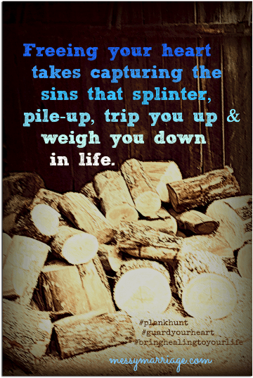 Can I point out your flaws? SJT&nbsp;Video